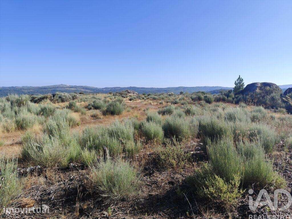Terreno em Sernancelhe e Sarzeda de 51606,00 m2 - Grande imagem: 2/13