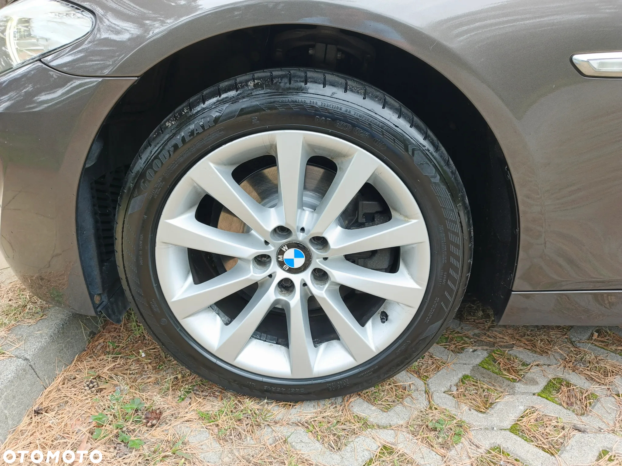 BMW Seria 5 - 19