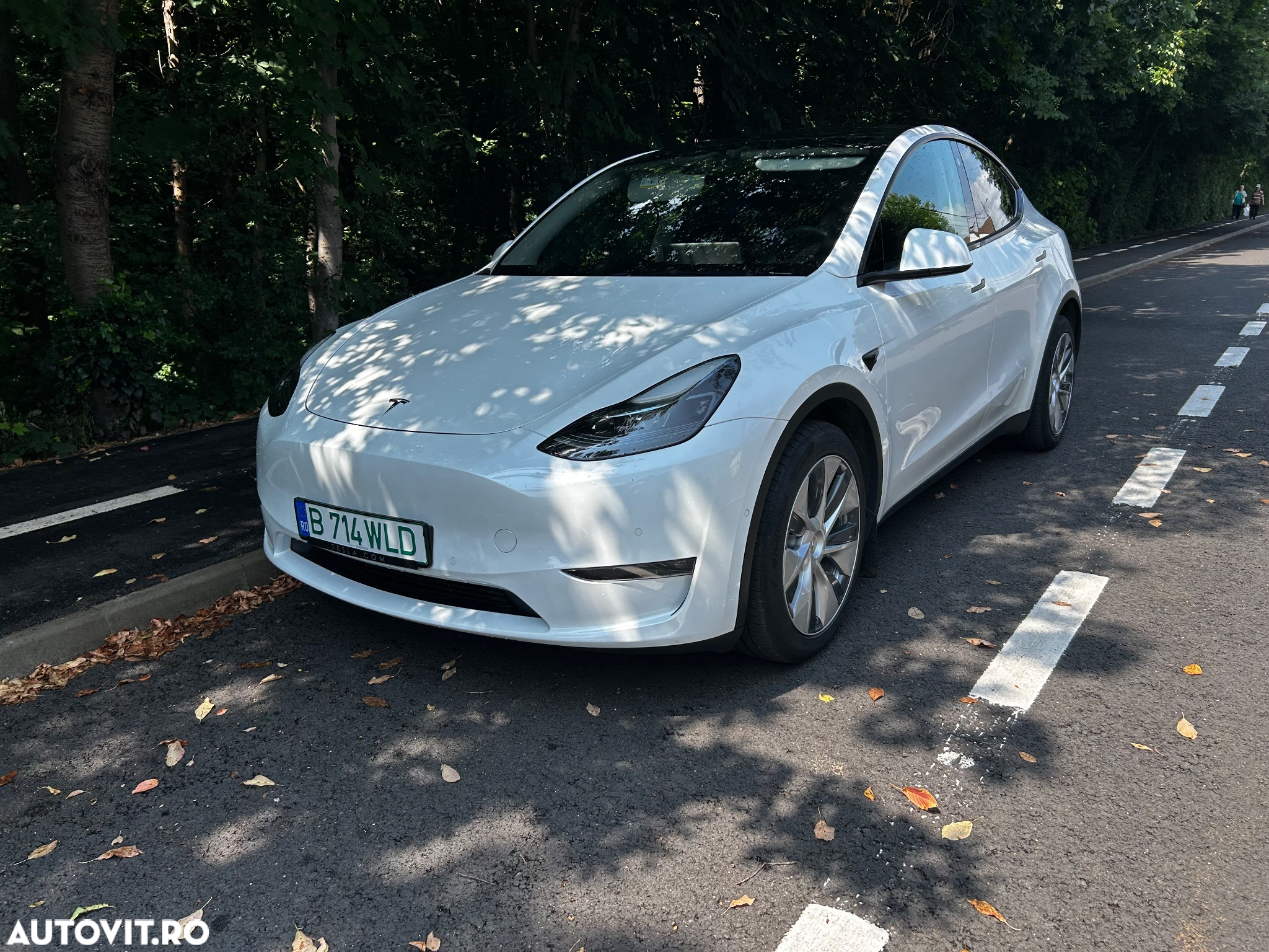 Tesla Model Y Long Range Dual Motor AWD - 20