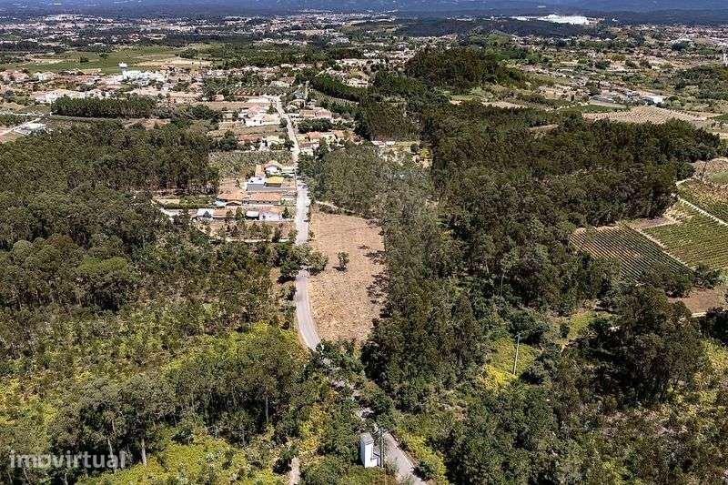 Terreno para venda 4700 m2 - Grande imagem: 3/3