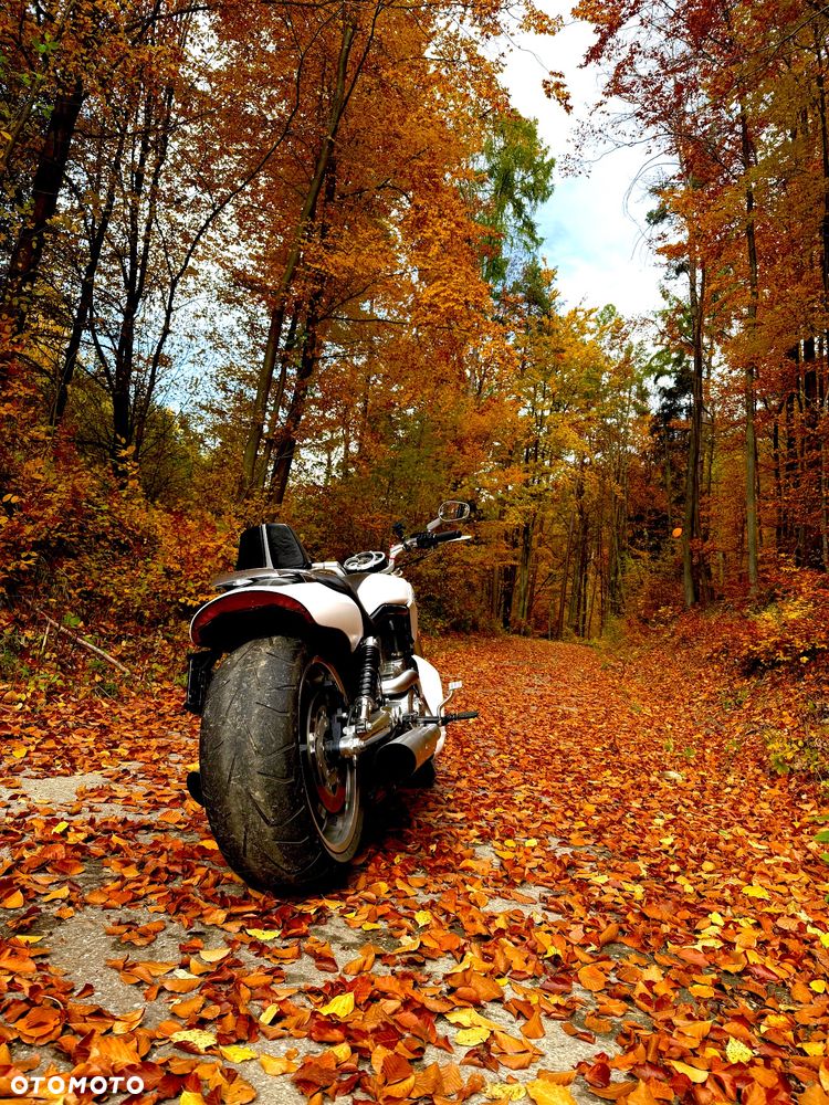 Harley-Davidson V-Rod Muscle - 5