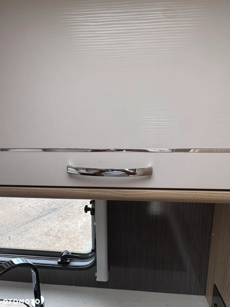 Coachman Wanderer 15/2 - 30