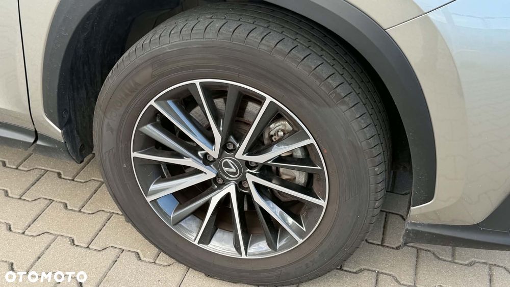 Lexus NX 350h Business AWD - 14