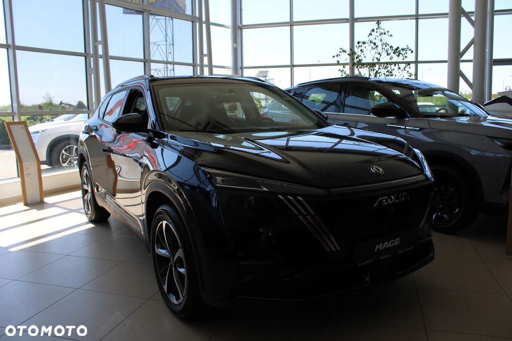Dongfeng Mage - 29