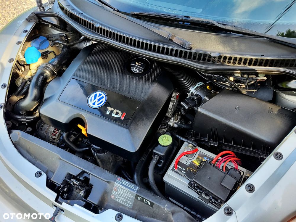 Volkswagen New Beetle - 9
