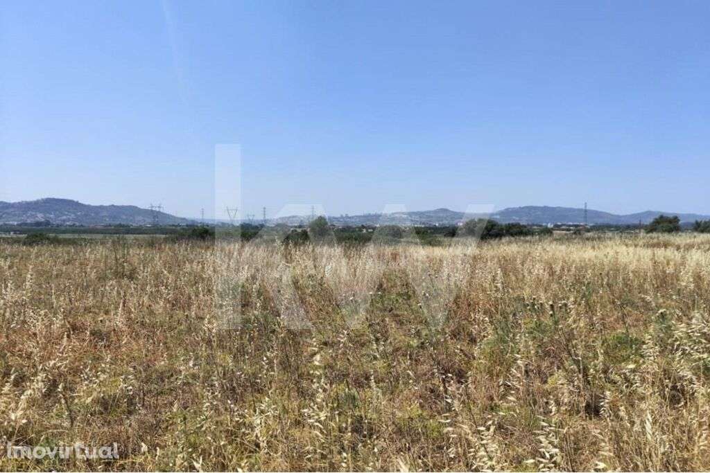 Terreno Agricola - Grande imagem: 3/3