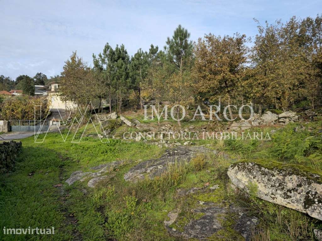 Terreno, Olival de Meanhos - Grande imagem: 3/24
