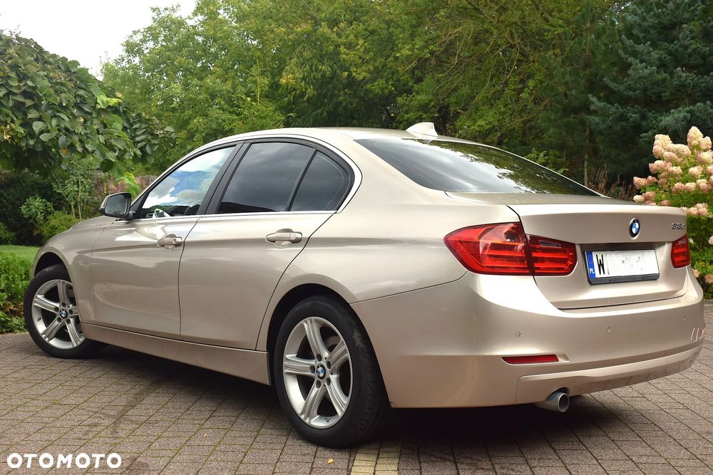 BMW Seria 3 318d Blue Performance Luxury Line - 13