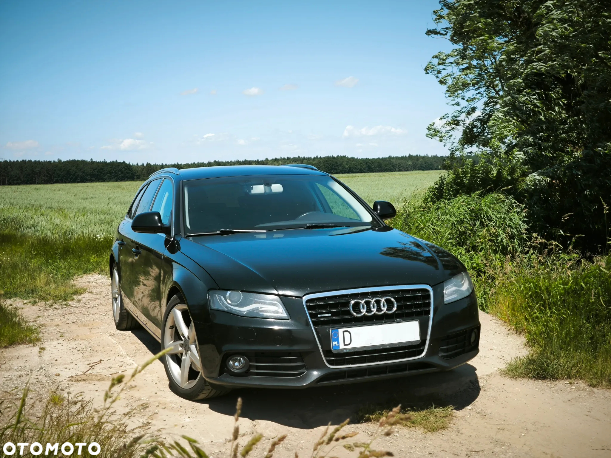 Audi A4 3.0 TDI Quattro - 5