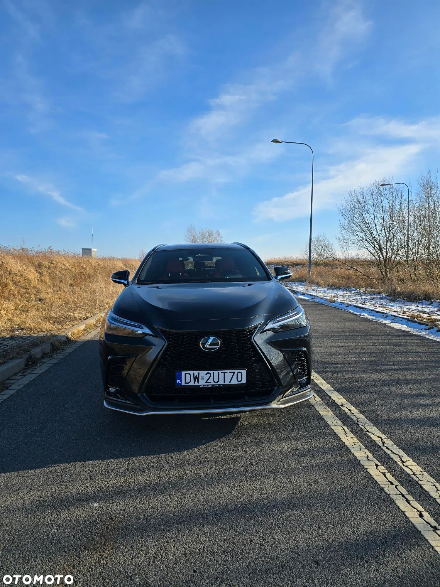 Lexus NX 350h F Sport AWD - 3