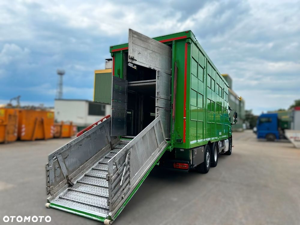 DAF CF 440 6x2 | Transport Zwierząt | KA-BA 3 Poziomy | Euro 6 | Automat | 2017 r - 10