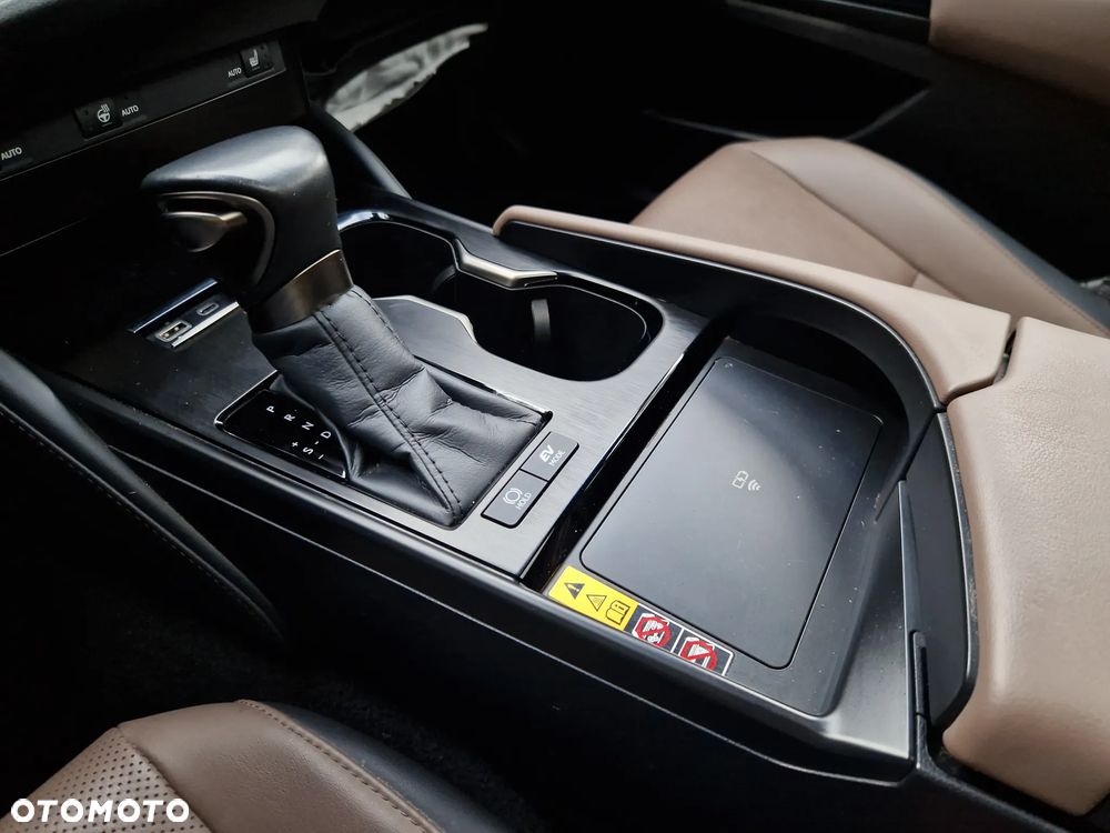 Lexus ES 300h F Sport Design - 19