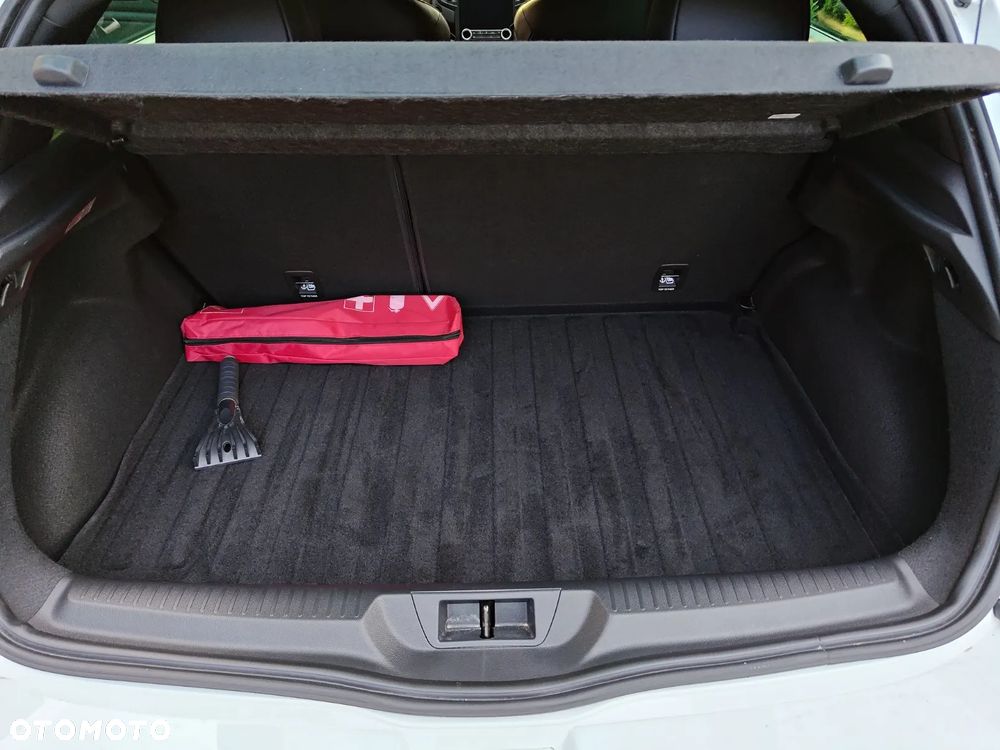 Renault Megane 1.8 TCe FAP R.S EDC - 13