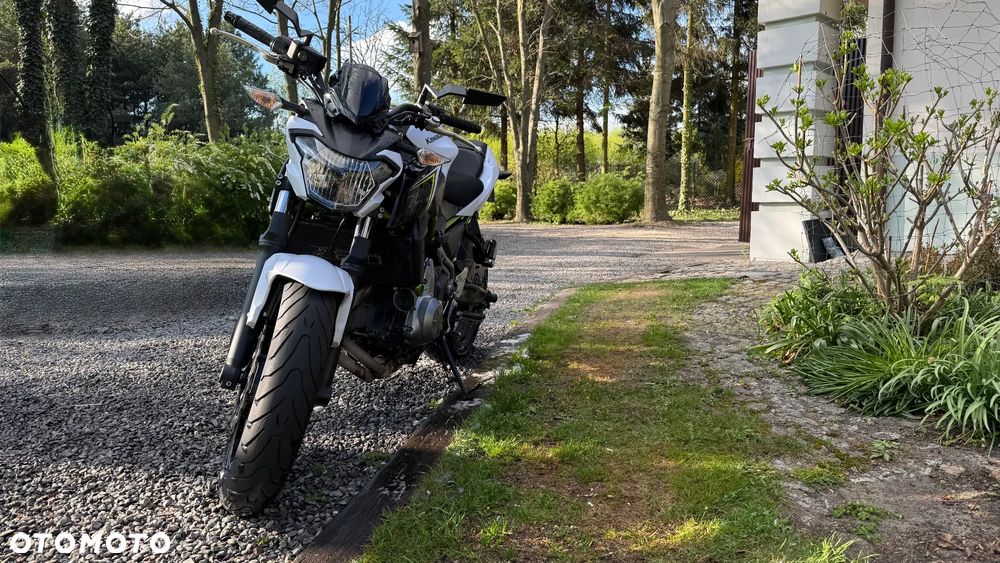 Kawasaki Z 650 - 1