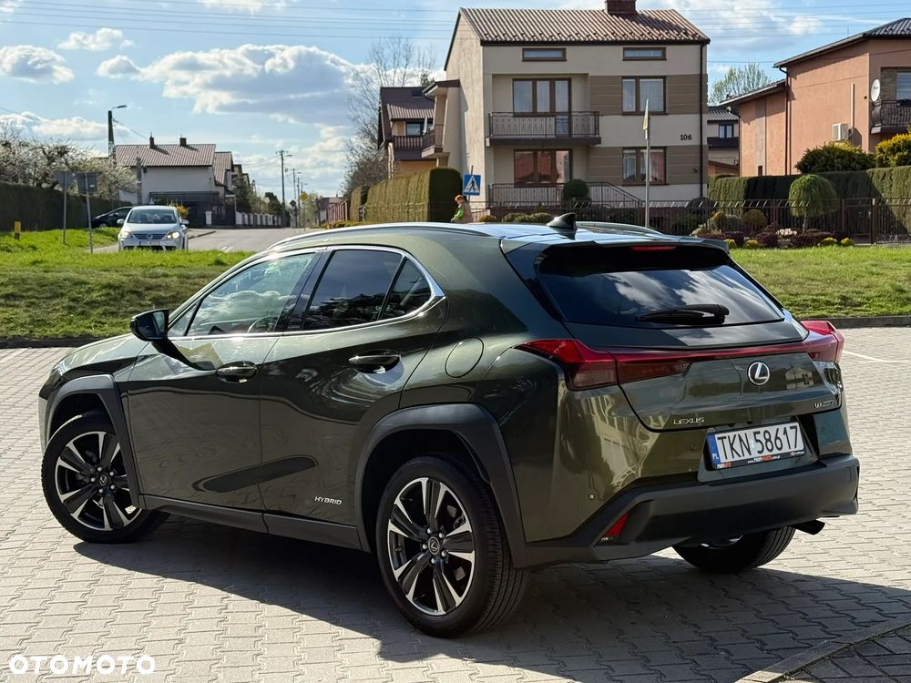 Lexus UX 250h F Sport 2WD - 16