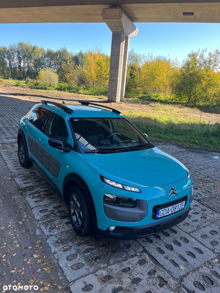 Citroën C4 Cactus PureTech 110 Stop&Start Shine - 13