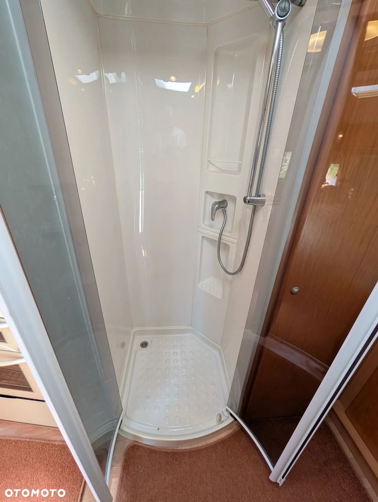 Avondale Golden Avocet - 15
