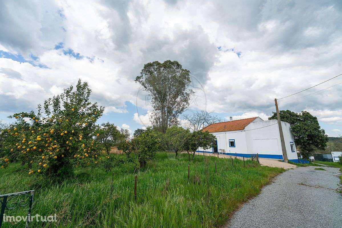 Quinta T6 para venda - Grande imagem: 5/27