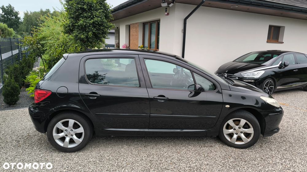 Peugeot 307 2.0 Sporty - 5
