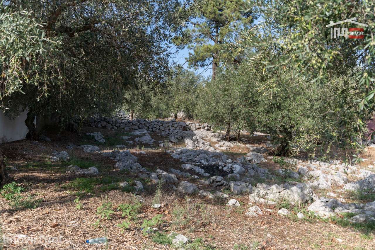 TERRENO URBANO COM AREA DE 1659 M2 PARA CONSTRUÇÃO EM MIRA DE AIRE ... - Grande imagem: 4/12