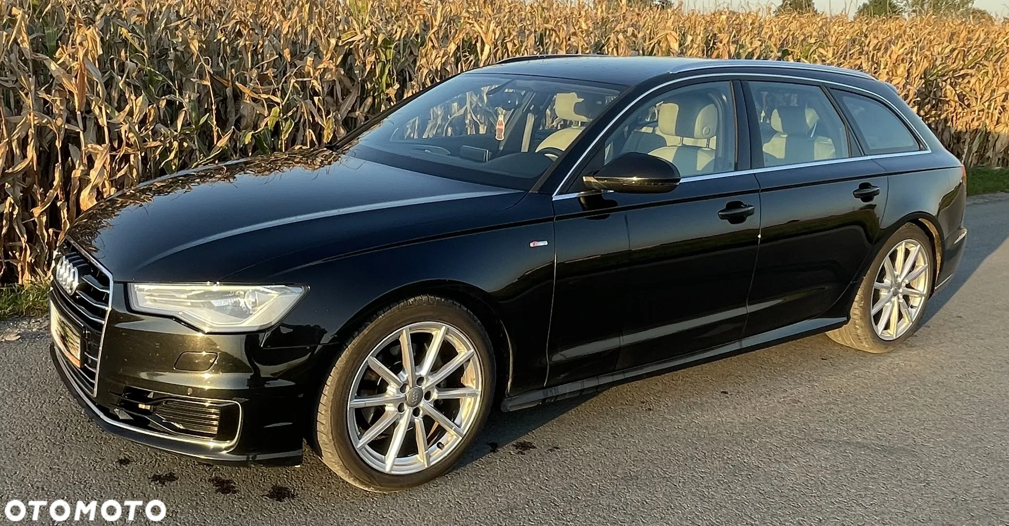 Audi A6 2.0 TDI ultra S tronic - 34