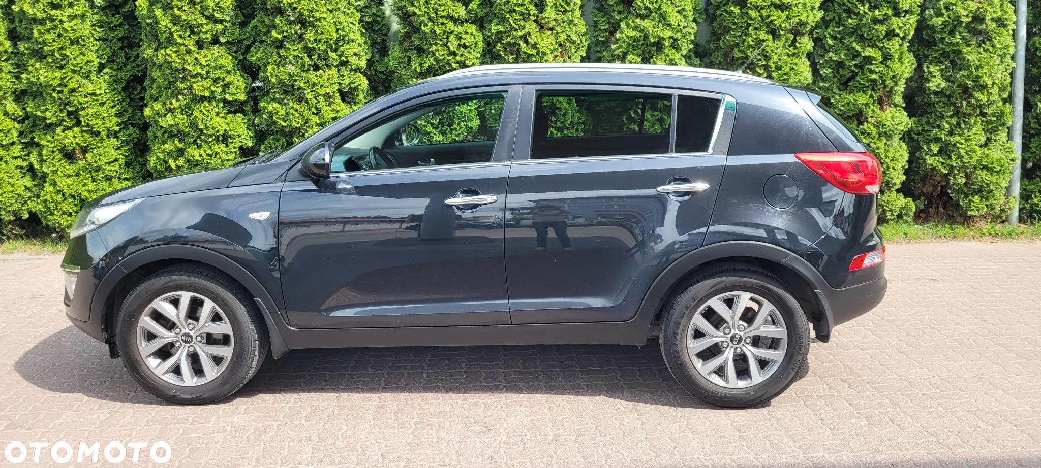 Kia Sportage - 6