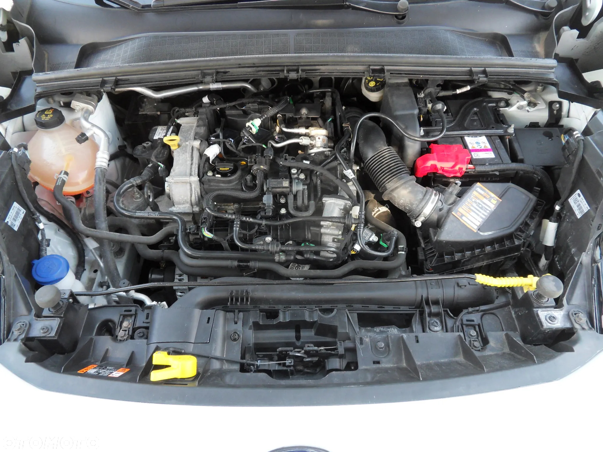 Ford Puma 1.0 EcoBoost Titanium - 19