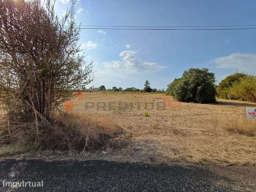 Terreno de 2940 m2 em Zona Urbanizável a 3 Kms das Caldas da Rainha - Grande imagem: 3/5