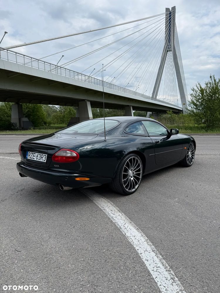 Jaguar XK - 7