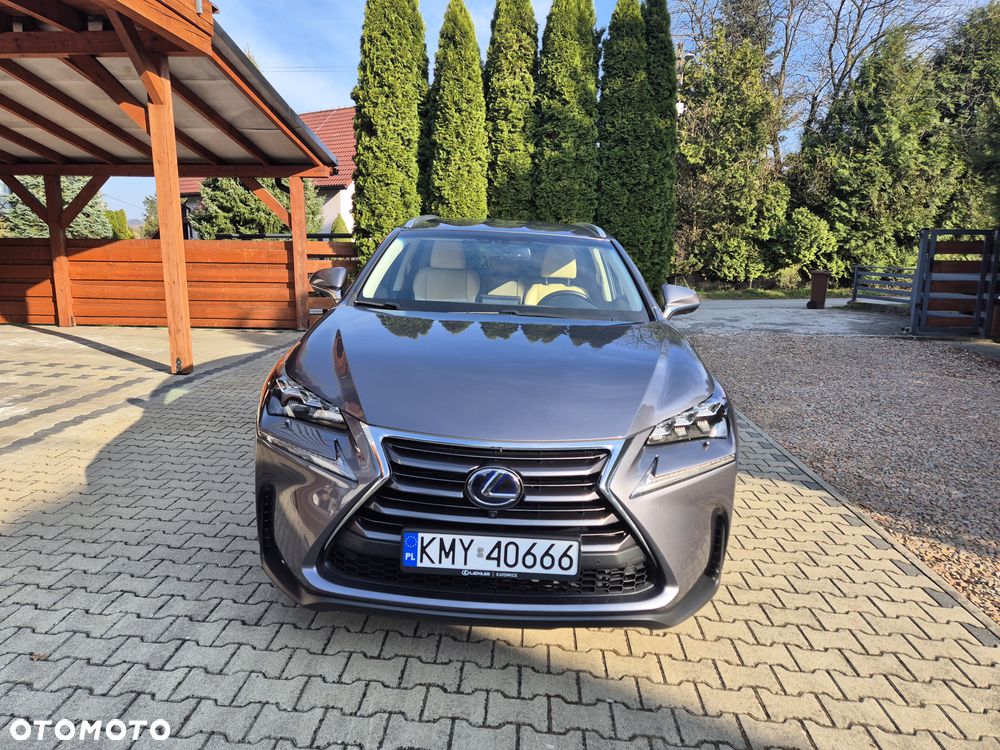 Lexus NX 300h Prestige AWD - 4