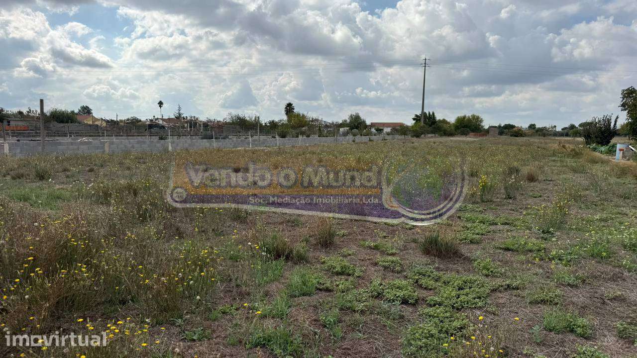 Terreno em Marinhais (M842) - Grande imagem: 5/11