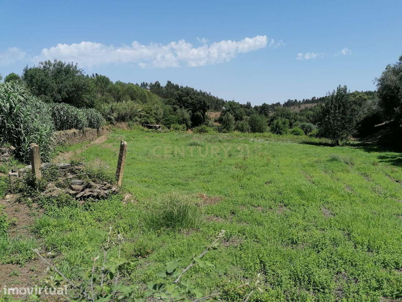 Terreno nas Limeiras com possibilidade de Construção - Grande imagem: 2/6