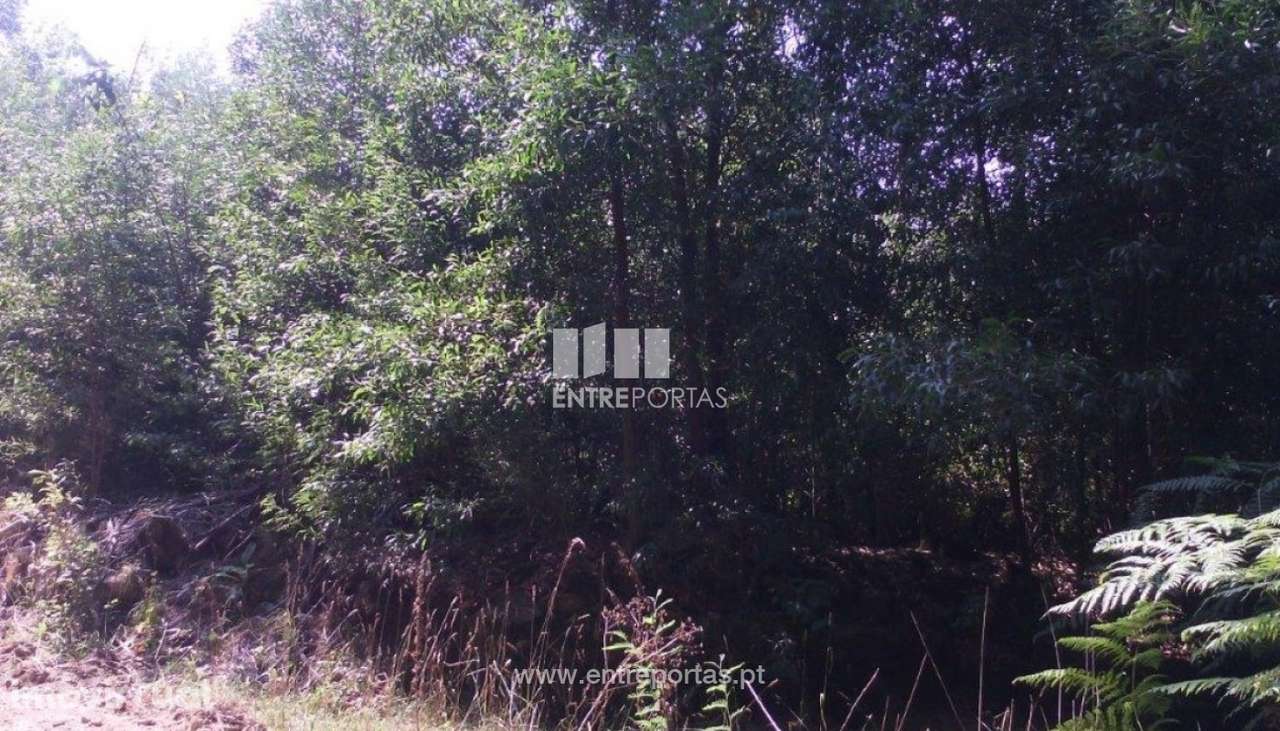 Venda de terreno, Canidelo, Vila do Conde - Grande imagem: 3/5