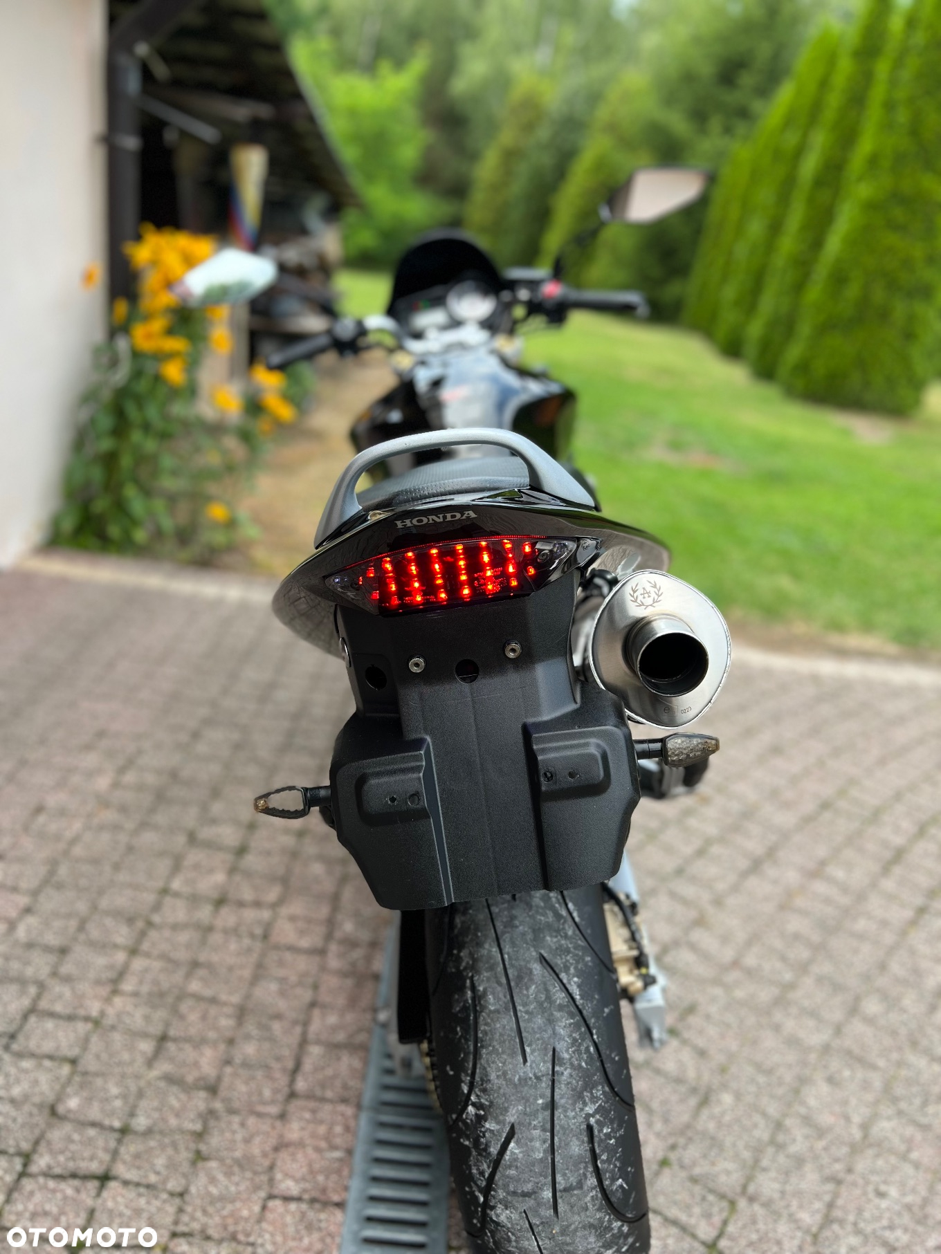 Honda Hornet - 17
