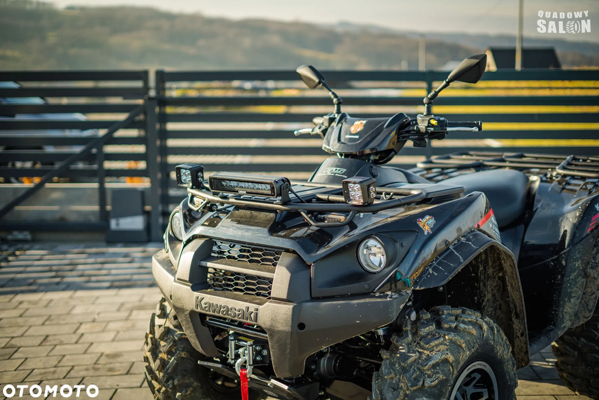 Kawasaki Brute Force - 21