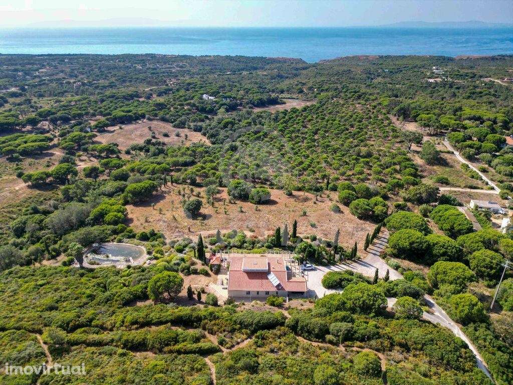 Venda Moradia - Grande imagem: 5/60