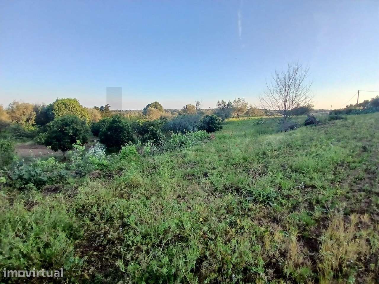 Herdade no Alentejo com 3 Casas e Terreno Agrícola – Torrão, Alcácer d - Grande imagem: 4/6