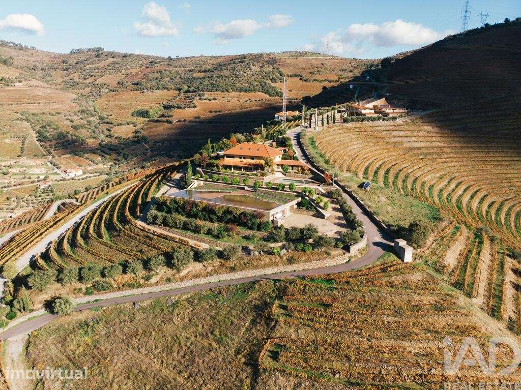 Quinta T6 em Folgosa de 2594 m2 - Grande imagem: 2/40