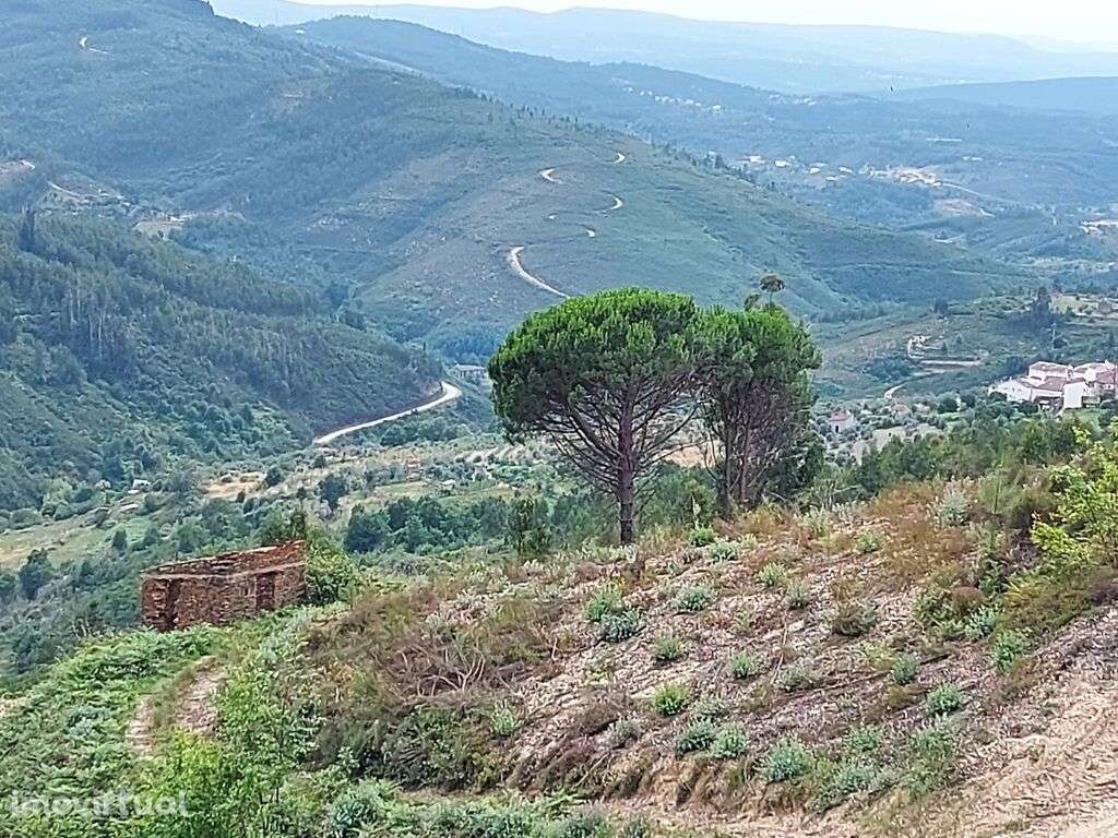 Venda Terreno - Grande imagem: 2/9