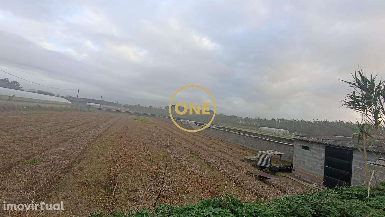 Terreno rústico de Apúlia, Esposende - Grande imagem: 3/10