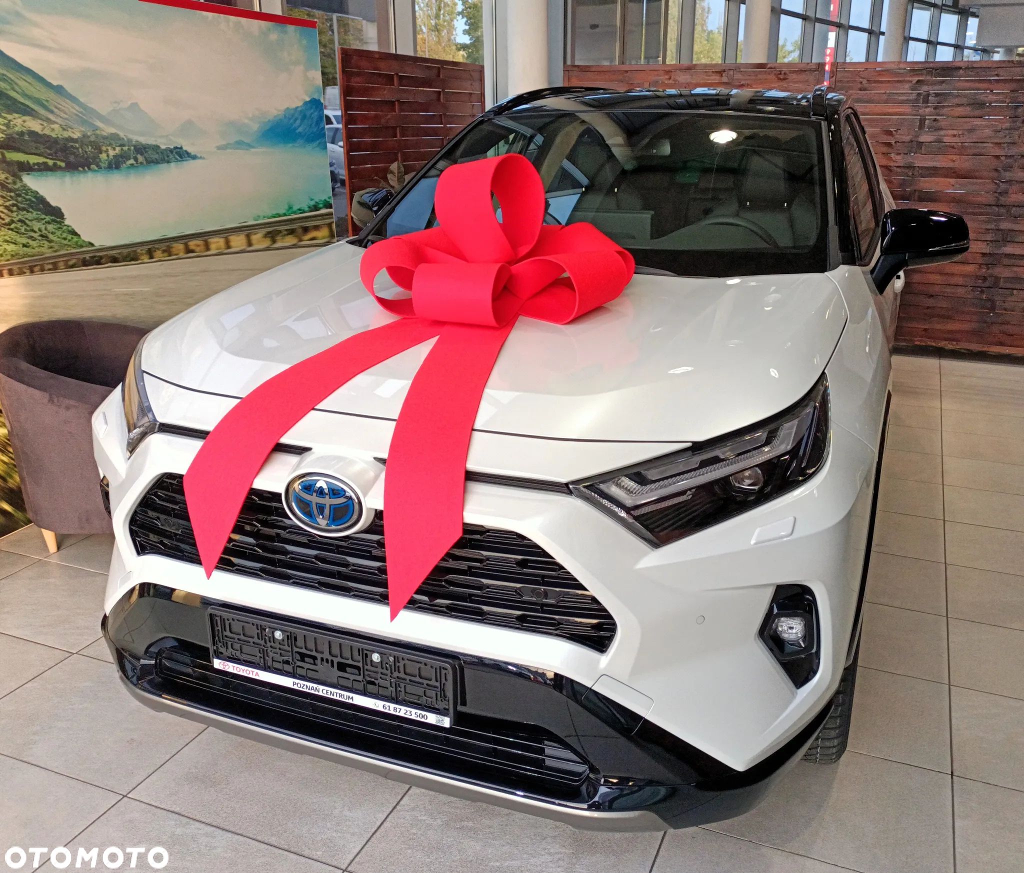Toyota RAV4 2.5 Hybrid Selection 4x2 - 1