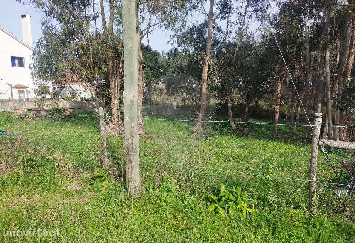 Terreno  para venda - Grande imagem: 5/6