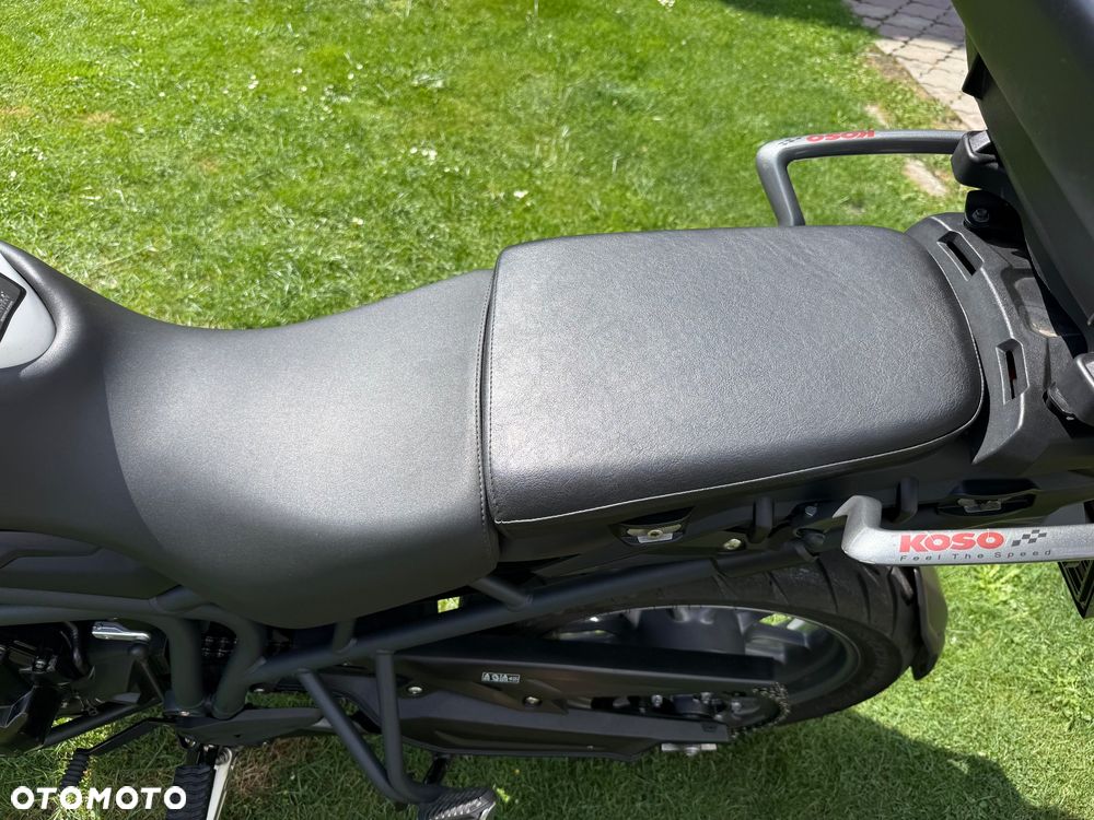 Triumph Tiger - 20
