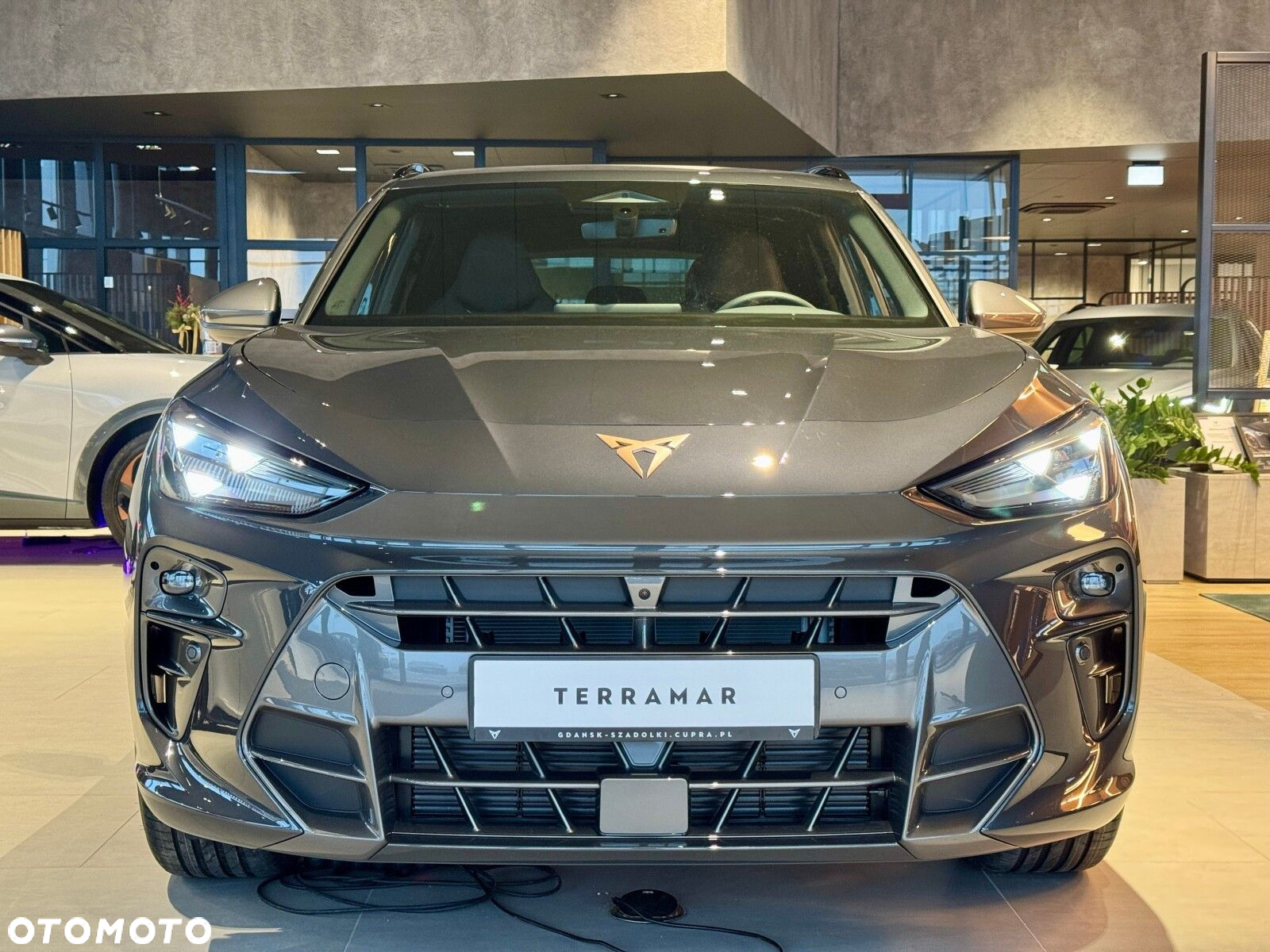 Cupra Terramar 1.5 eTSI mHEV DSG - 8