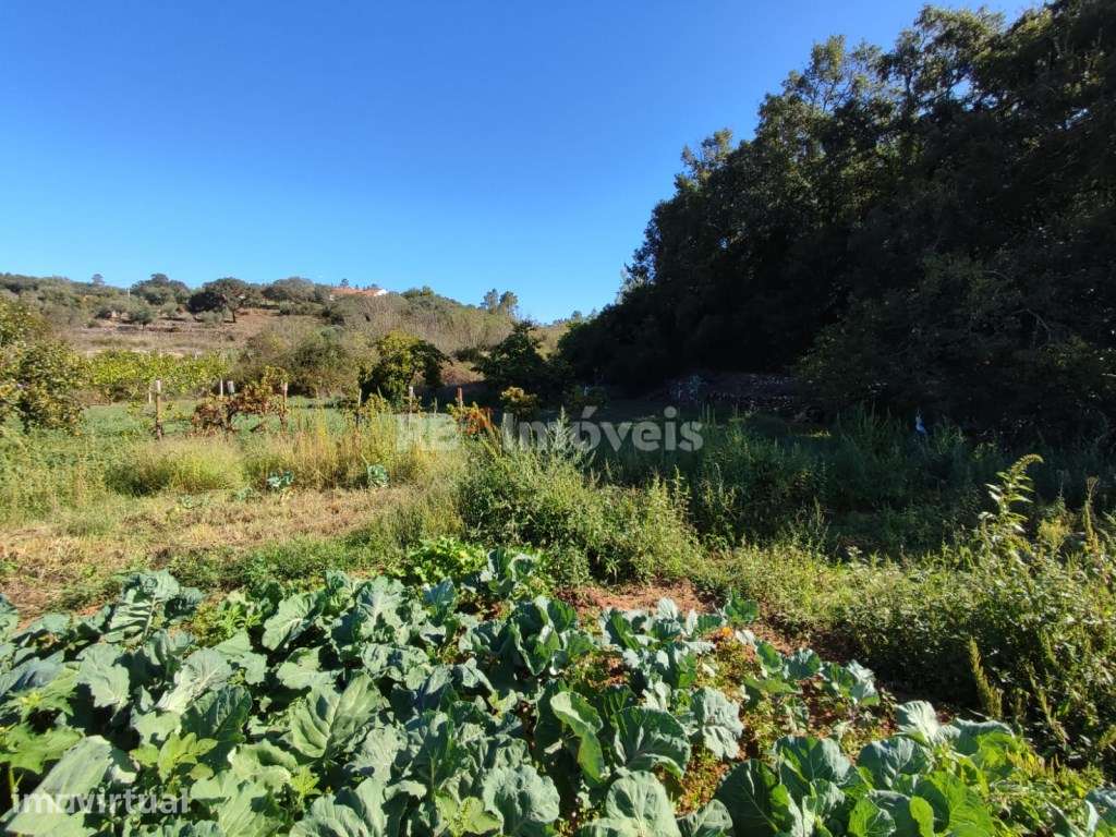 Terreno rústico com 280m² - Pomar, Tomar - Grande imagem: 5/16