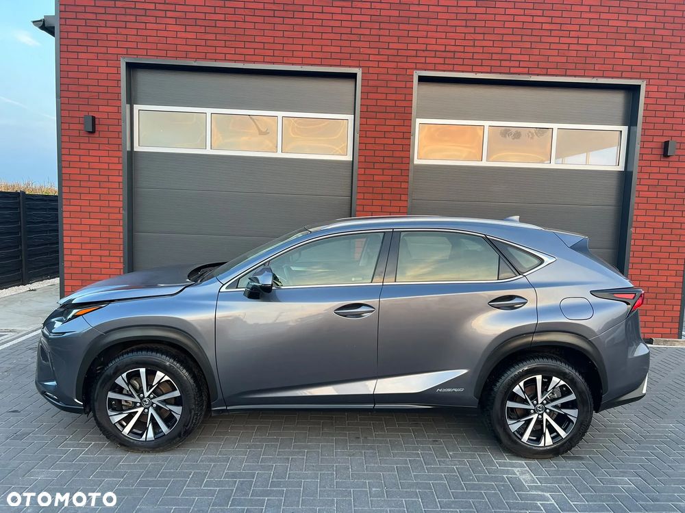 Lexus NX 300h - 31