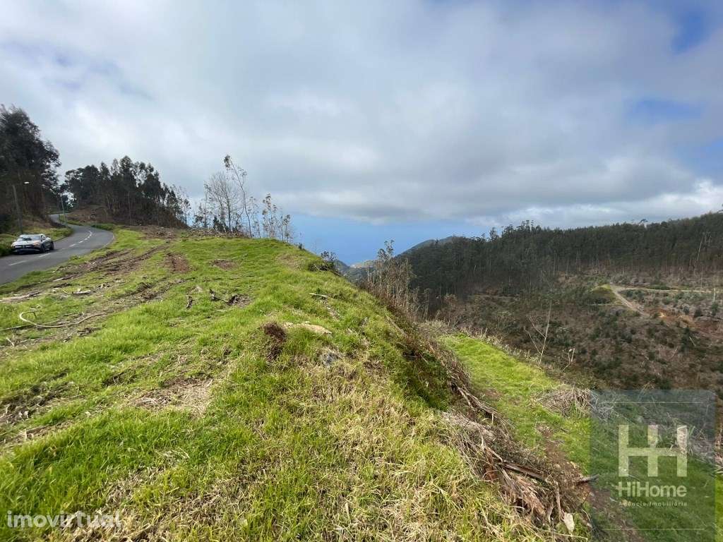 Terreno Rústico com 36.312 m2 no Campanário, Ribeira Brava - Grande imagem: 2/12