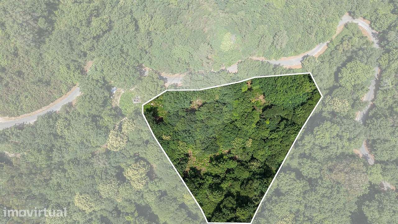Terreno  para venda - Grande imagem: 3/24