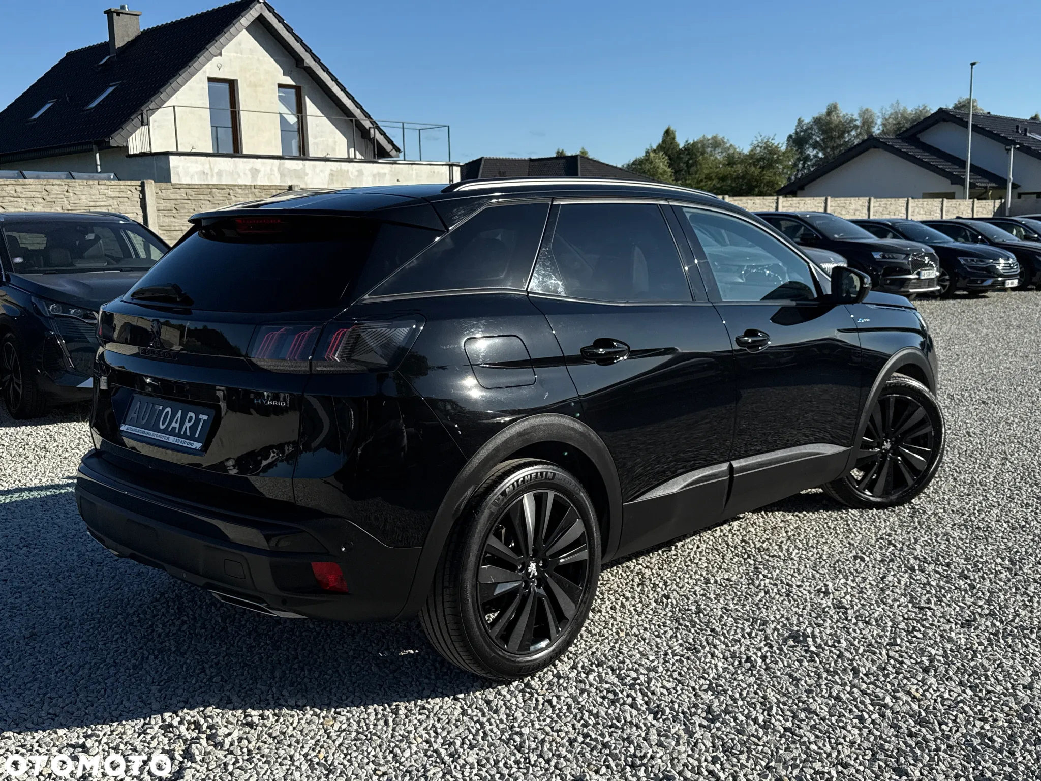 Peugeot 3008 - 18