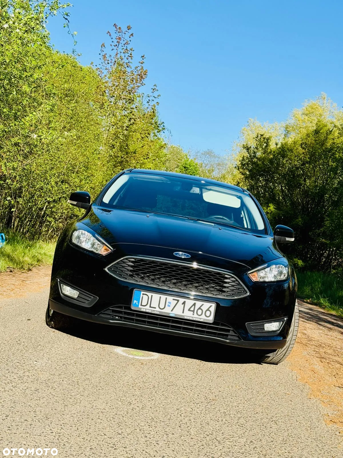 Ford Focus 1.6 SYNC Edition - 2